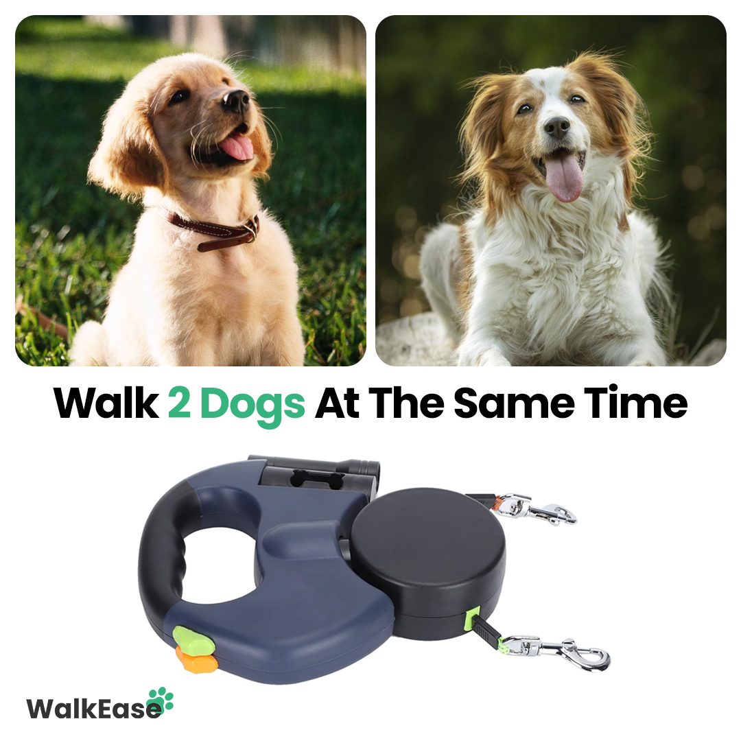 WalkEase - Duo Dog Leash